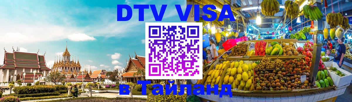 Сколько стоит DTV виза — актуальные цены, оформление даже без документов - Вологда 